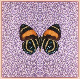 https://cdn.fairart.io/thumbnail_Damien_Hirst_DP_80_Callicore_A_Depictions_1_2786fd573f.jpg - 0