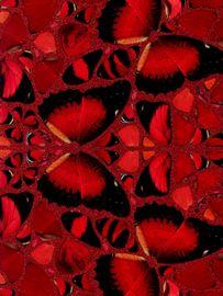 https://cdn.fairart.io/thumbnail_Damien_Hirst_H10_2_Nur_Jahan_2_c672036726.jpeg - 1