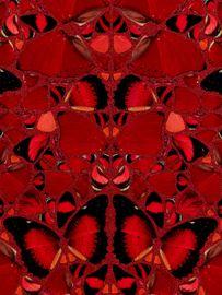 https://cdn.fairart.io/thumbnail_Damien_Hirst_H10_3_Theodora_3_1feb41cafa.jpeg - 2
