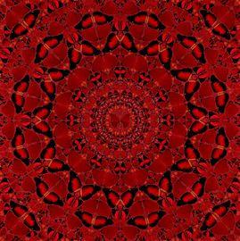 https://cdn.fairart.io/thumbnail_Damien_Hirst_H10_4_Suiko_1_cc514b8fdb.jpeg - 0