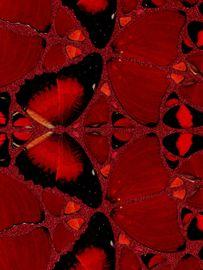 https://cdn.fairart.io/thumbnail_Damien_Hirst_H10_4_Suiko_2_57a47c6cc1.jpeg - 1