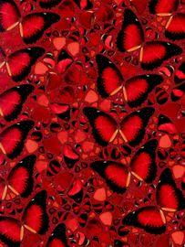 https://cdn.fairart.io/thumbnail_Damien_Hirst_H10_5_Taytu_Betul_2_8776d208cb.jpeg - 1