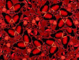 https://cdn.fairart.io/thumbnail_Damien_Hirst_H10_5_Taytu_Betul_3_9183e6be40.jpeg - 2