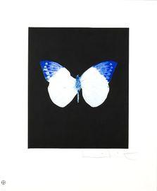 Artwork - Life