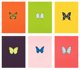 New Beginnings (Complete Set)