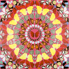 Artwork - Psalm: Judica, Domnino