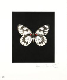 Artwork - Regeneration