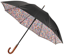 Artwork - The Currency Umbrella (Black)