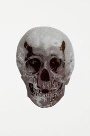 Artwork - The Dead (Silver Gloss Gunmetal Skull)