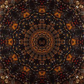https://cdn.fairart.io/thumbnail_Damien_Hirst_The_Elements_Earth_1_cdbf007383.jpeg - 0