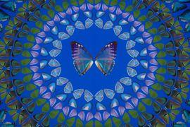 https://cdn.fairart.io/thumbnail_Damien_Hirst_The_Elements_Water_2_46ff2f7987.jpeg - 1
