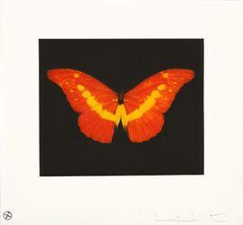 To Love (Orange)