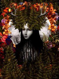 Artwork - Old Growth (Timed Edition)