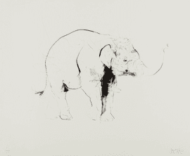 Elephant II