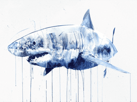 Artwork - Great White