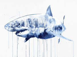 Artwork - Great White XXL