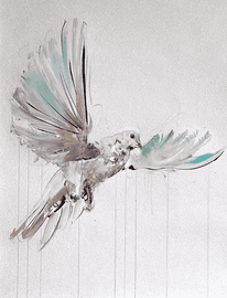Artwork - Hope XL