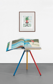 https://cdn.fairart.io/thumbnail_David_Hockney_Art_Edition_C_2_1b35a5b5f8.png - 1