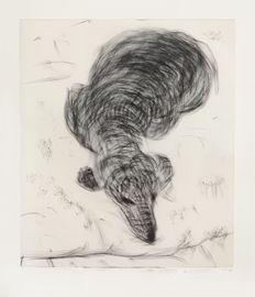 Dog Etching No. 7