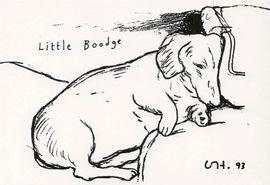 Artwork - Little Boodge