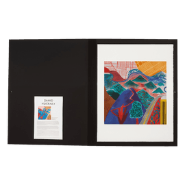 https://cdn.fairart.io/thumbnail_David_Hockney_Outpost_Drive_Hollywood_Folio_2_12f4b0a6a0.png - 1