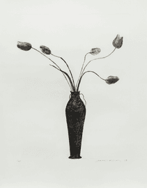 Artwork - Tulips