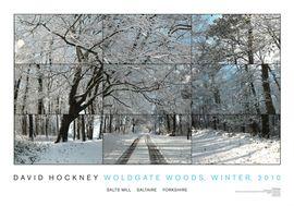 Artwork - Woldgate Woods, Winter (2010)