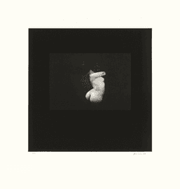 Distorted Nude Photogravure #10