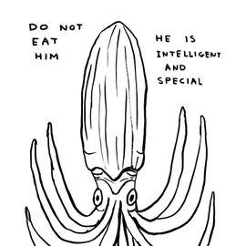 Human Behaviour & Animals & Existentialism