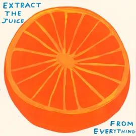 Artwork - Extract the Juice from Everything