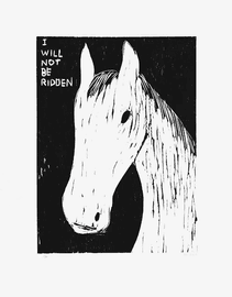 Artwork - I Will Not Be Ridden