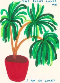 Artwork - The Plant Loves Me