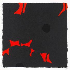 Black Poppies, April 25, 2007