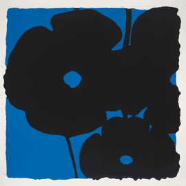 Blue Reversal Poppies