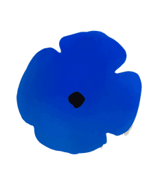 Artwork - Blue Wall Poppy, August 13, 2020