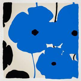 Artwork - Blue & Black Poppies Feb 3, 2020