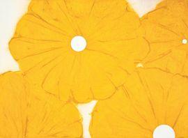 Artwork - Four Yellow Poppies April 24, 2024