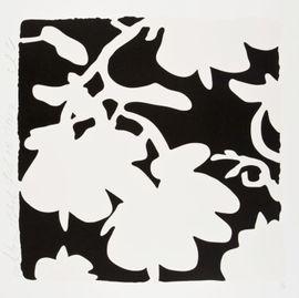Artwork - Lantern Flowers (White and Black)