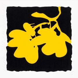 Lantern Flowers - Yellow