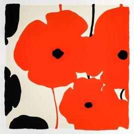 Red & Black Poppies, Feb 3 2020