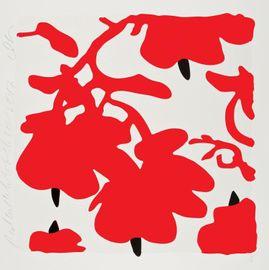 Red and White, Feb 10, 2017