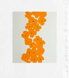 Wallflower 9