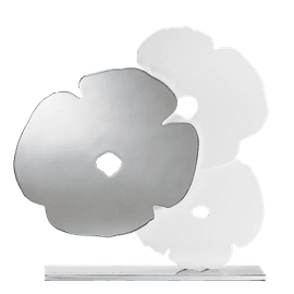 White and Silver Poppies Jan 6, 2021