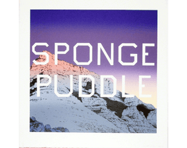 Artwork - Sponge Puddle