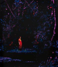 Artwork - Red Dress