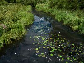 Artwork - Chalk Stream 1 (Medium)