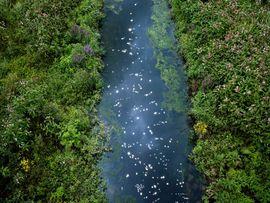 Artwork - Chalk Stream 2 (Large)