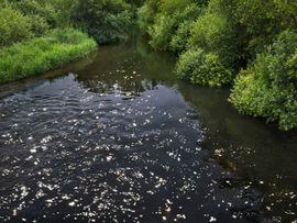 Artwork - Chalk Stream 3 (Small)
