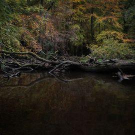 Half Light 2 (Large)