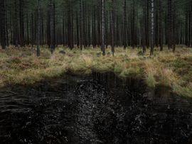 Artwork - Seascapes 3 (Large)